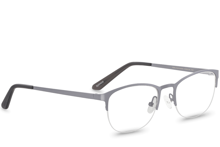 Spinoza Grey