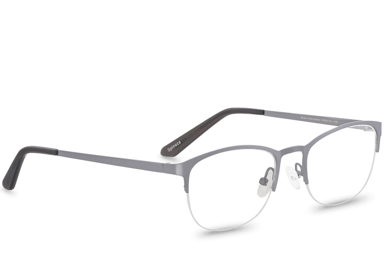 Spinoza Grey