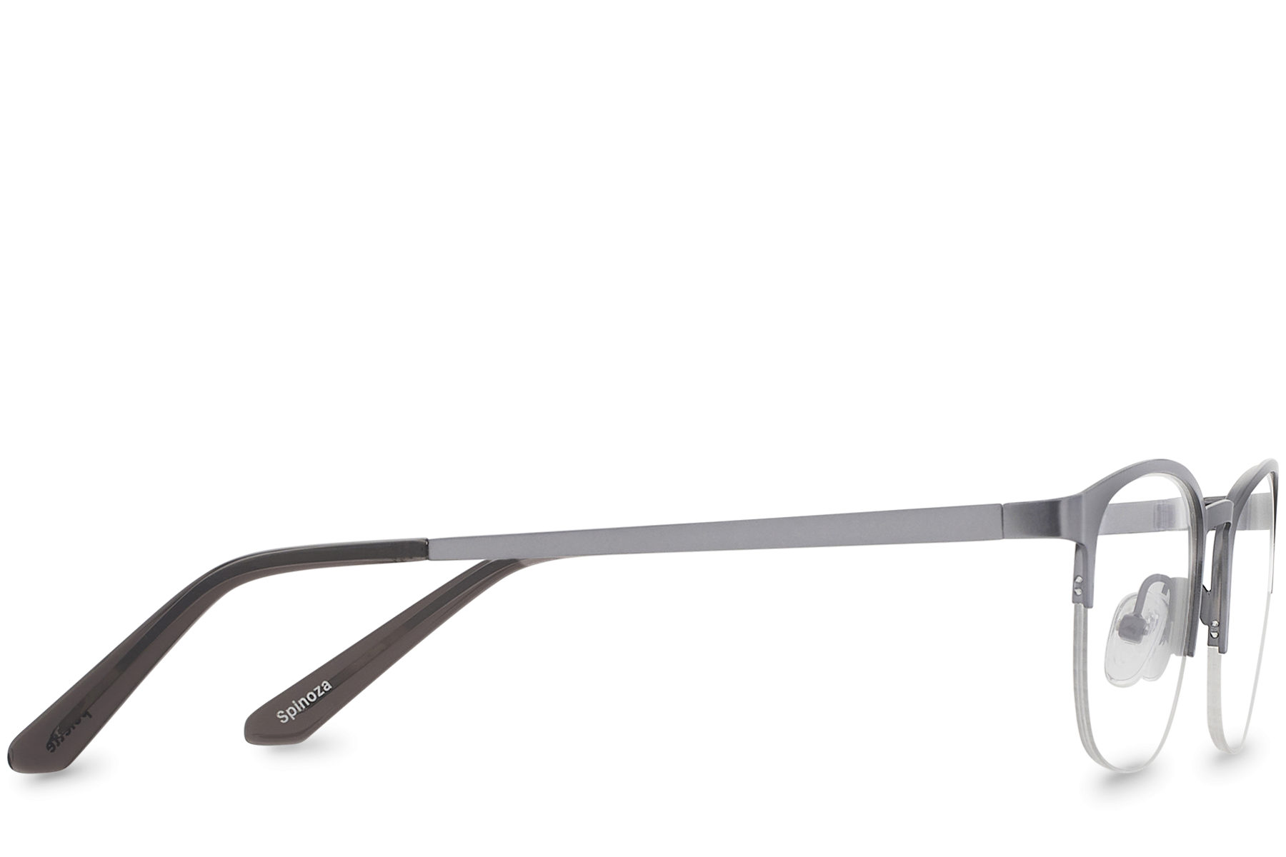 Spinoza Grey