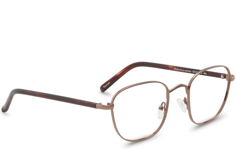 Tasman View Bronze