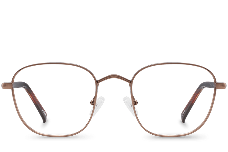 Tasman View Bronze
