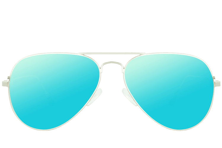 Traveler Silver
