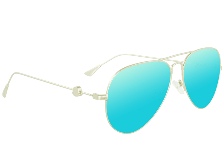 Traveler Silver